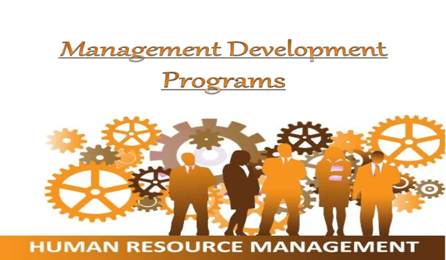 Online Training – Human Resources Management Development Program (HRMDP)